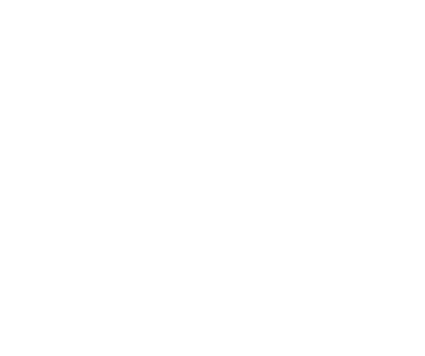 VIS Global